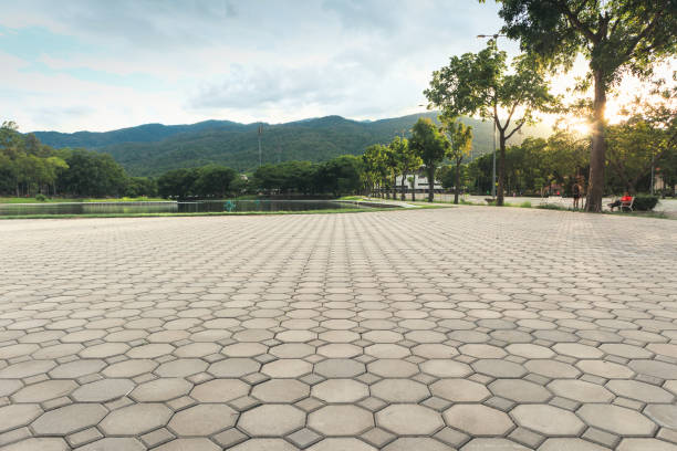 Best Decorative Driveway Pavers  in Whitefish, MT